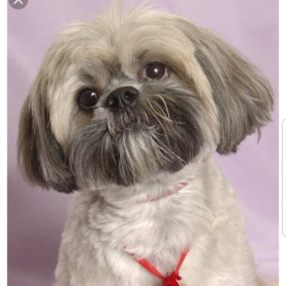 Meet your Posher, Nicolette - Picture 1 of 1